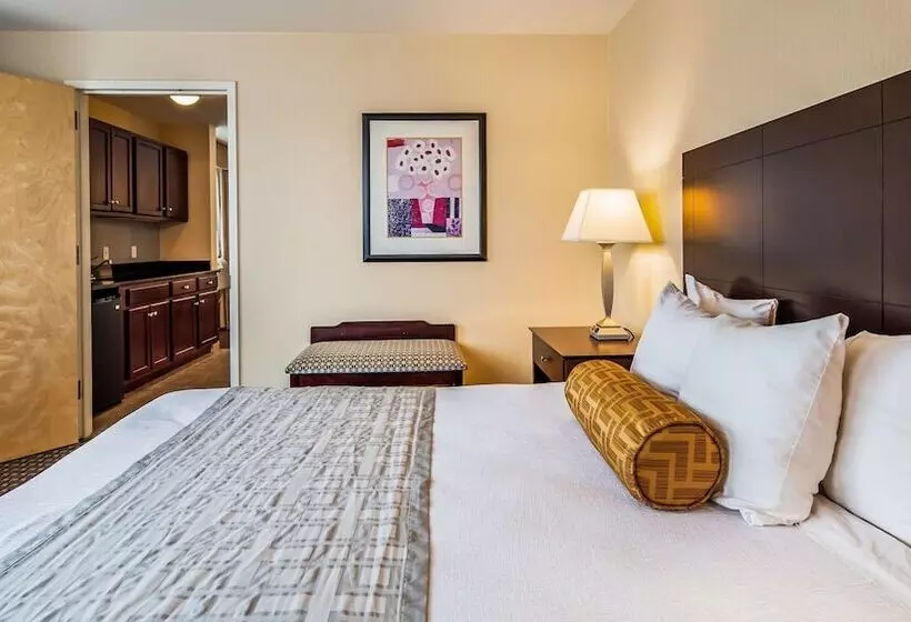 スイート, Best Western Plus Philadelphia Airport South At Widener University