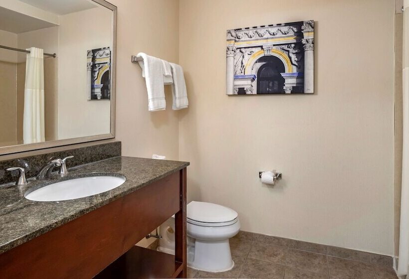 스위트, Best Western Plus Philadelphia Airport South At Widener University