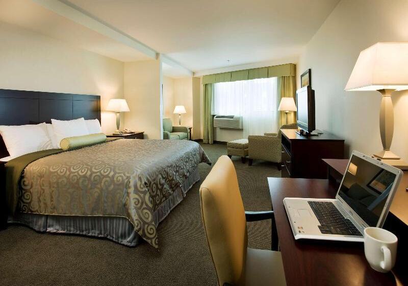 Номер Стандарт, Best Western Plus Philadelphia Airport South At Widener University