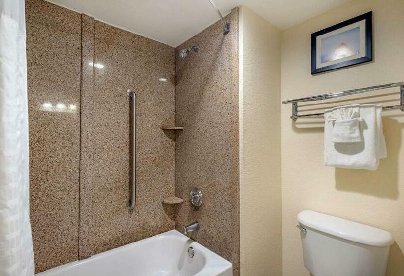スタンダードルーム, Comfort Inn Kissimmee-Lake Buena Vista South