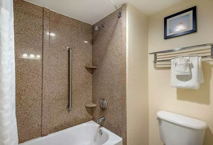 スタンダードルーム, Comfort Inn Kissimmee-Lake Buena Vista South