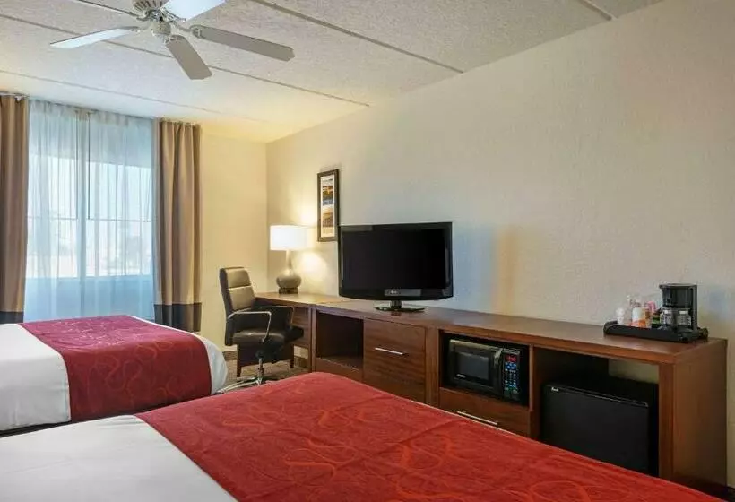 スタンダードルーム, Comfort Inn Kissimmee-Lake Buena Vista South