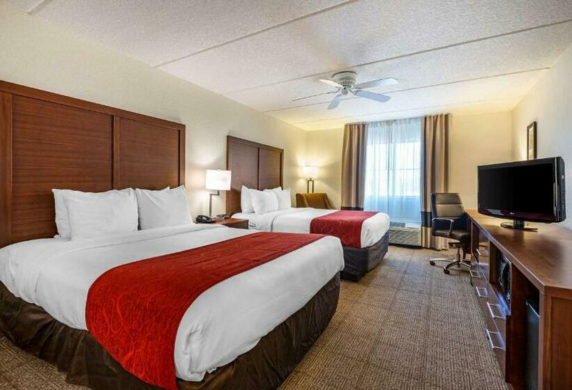 スタンダードルーム, Comfort Inn Kissimmee-Lake Buena Vista South
