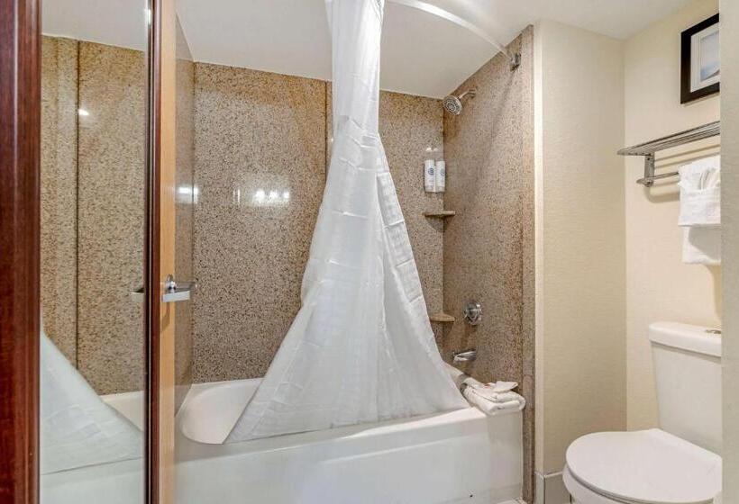 스탠다드 룸, Comfort Inn Kissimmee-Lake Buena Vista South