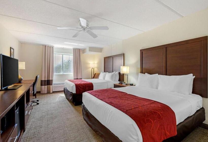 スタンダードルーム, Comfort Inn Kissimmee-Lake Buena Vista South