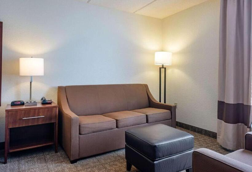 스탠다드 룸 킹사이즈 침대, Comfort Inn Kissimmee-Lake Buena Vista South