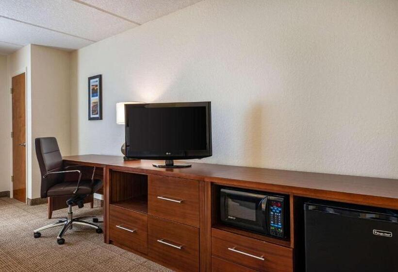 キングサイズベッドのスタンダードルーム, Comfort Inn Kissimmee-Lake Buena Vista South