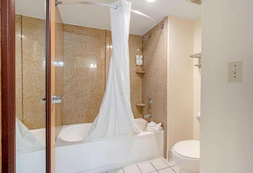 스탠다드 룸 킹사이즈 침대, Comfort Inn Kissimmee-Lake Buena Vista South