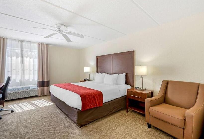스탠다드 룸 킹사이즈 침대, Comfort Inn Kissimmee-Lake Buena Vista South