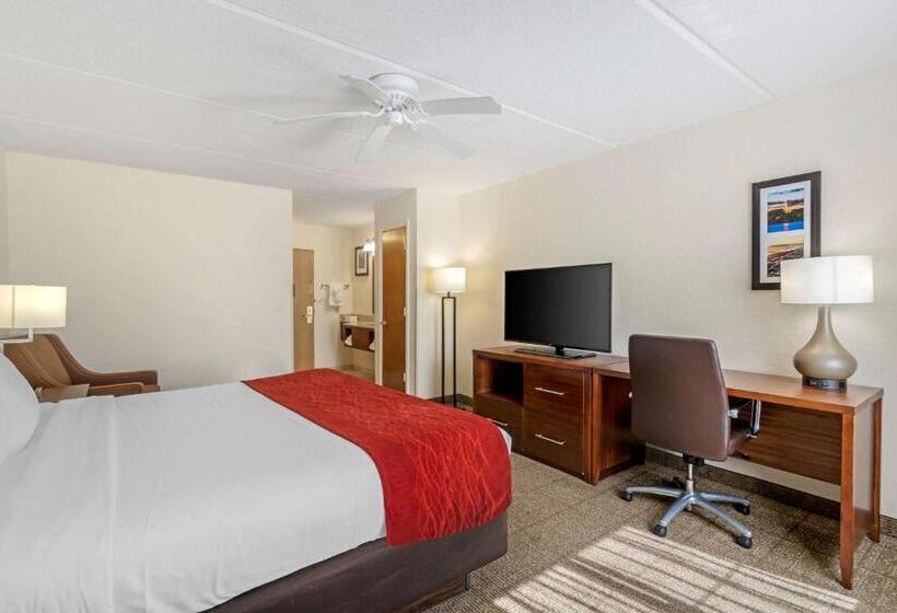 キングサイズベッドのスタンダードルーム, Comfort Inn Kissimmee-Lake Buena Vista South
