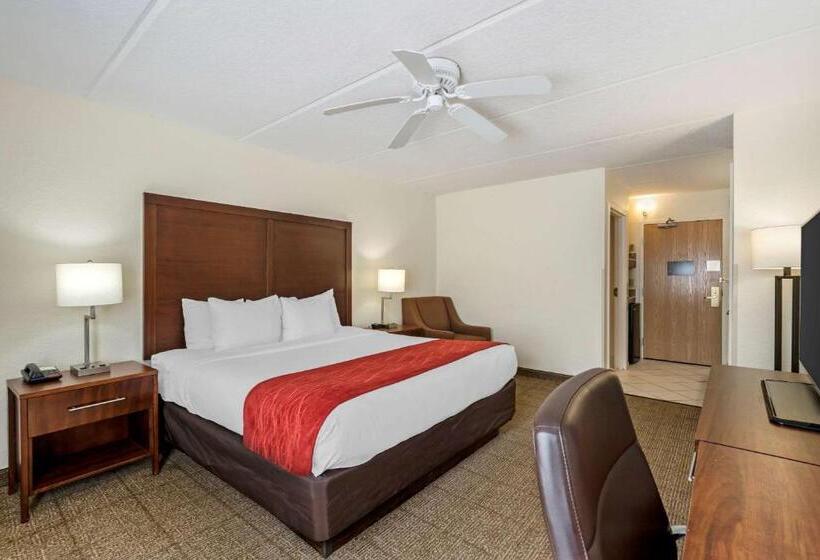 스탠다드 룸 킹사이즈 침대, Comfort Inn Kissimmee-Lake Buena Vista South