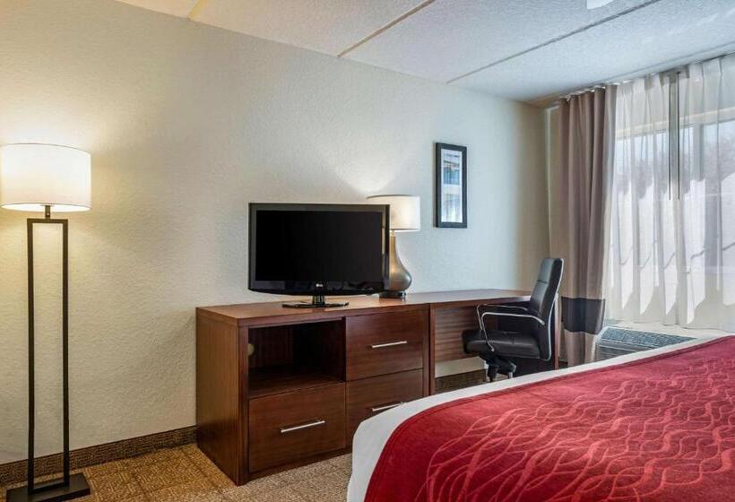 스탠다드 룸 킹사이즈 침대, Comfort Inn Kissimmee-Lake Buena Vista South