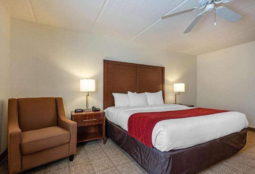 キングサイズベッドのスタンダードルーム, Comfort Inn Kissimmee-Lake Buena Vista South