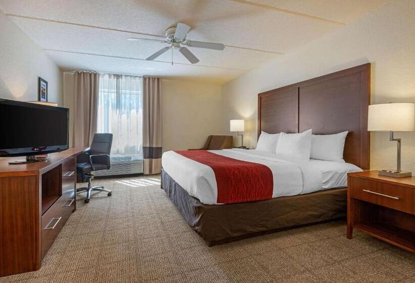 스탠다드 룸 킹사이즈 침대, Comfort Inn Kissimmee-Lake Buena Vista South