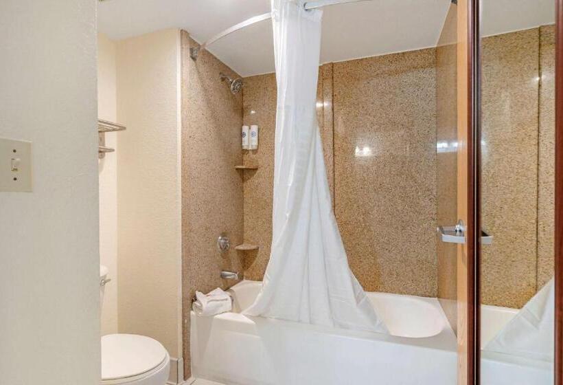 스탠다드 룸 킹사이즈 침대, Comfort Inn Kissimmee-Lake Buena Vista South