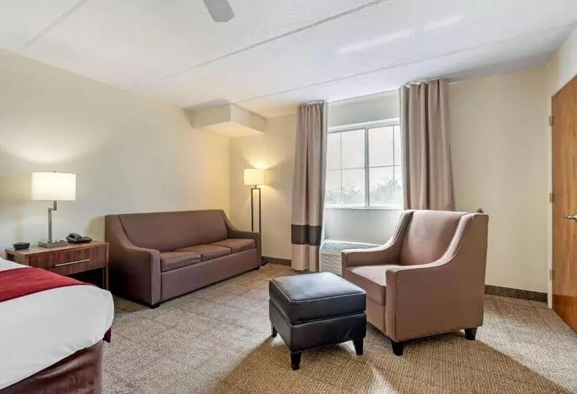 キングサイズベッドのスタンダードルーム, Comfort Inn Kissimmee-Lake Buena Vista South