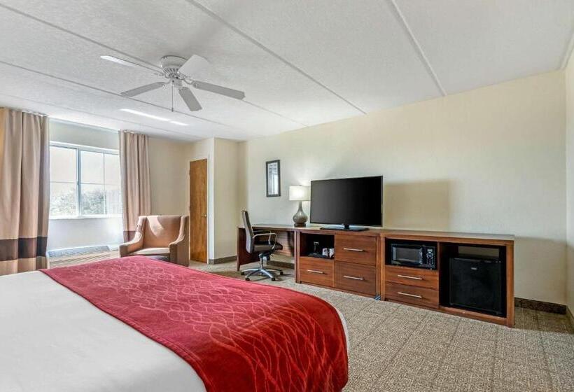 キングサイズベッドのスタンダードルーム, Comfort Inn Kissimmee-Lake Buena Vista South