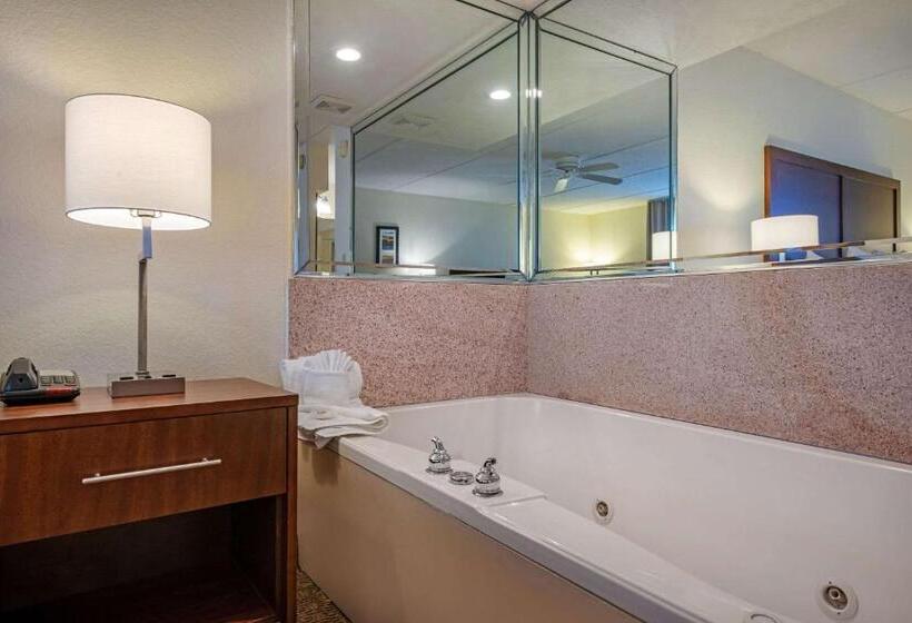 스탠다드 룸 킹사이즈 침대, Comfort Inn Kissimmee-Lake Buena Vista South