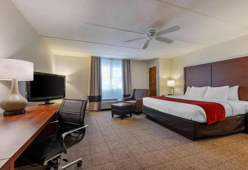 스탠다드 룸 킹사이즈 침대, Comfort Inn Kissimmee-Lake Buena Vista South