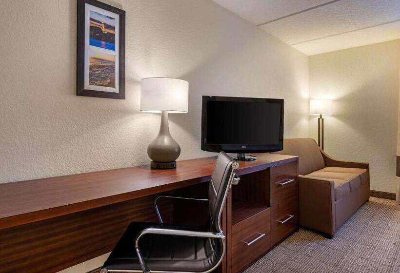キングサイズベッドのスタンダードルーム, Comfort Inn Kissimmee-Lake Buena Vista South