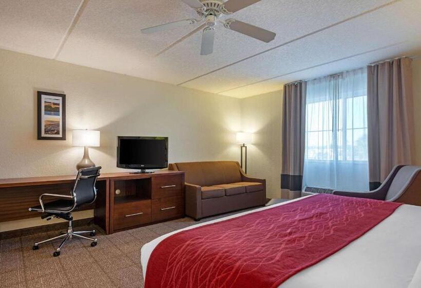 스탠다드 룸 킹사이즈 침대, Comfort Inn Kissimmee-Lake Buena Vista South