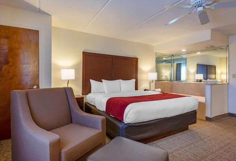 스탠다드 룸 킹사이즈 침대, Comfort Inn Kissimmee-Lake Buena Vista South