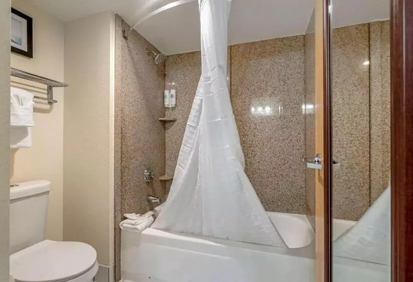 キングサイズベッドのスタンダードルーム, Comfort Inn Kissimmee-Lake Buena Vista South