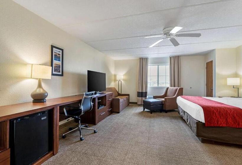 キングサイズベッドのスタンダードルーム, Comfort Inn Kissimmee-Lake Buena Vista South