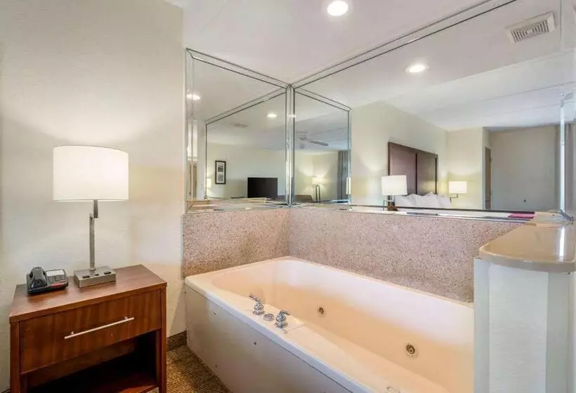 キングサイズベッドのスタンダードルーム, Comfort Inn Kissimmee-Lake Buena Vista South