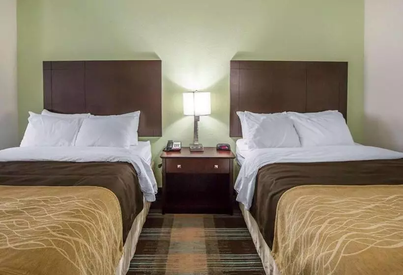 ２ダブルベッドのスタンダードルーム, Comfort Inn Lexington South
