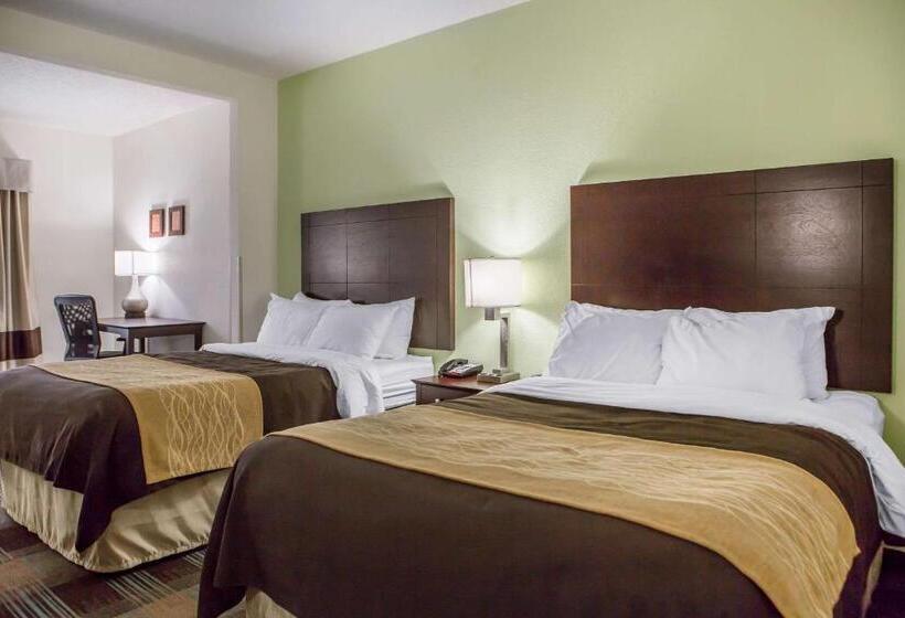 Номер Стандарт 2 Двуспальные Кровати, Comfort Inn Lexington South