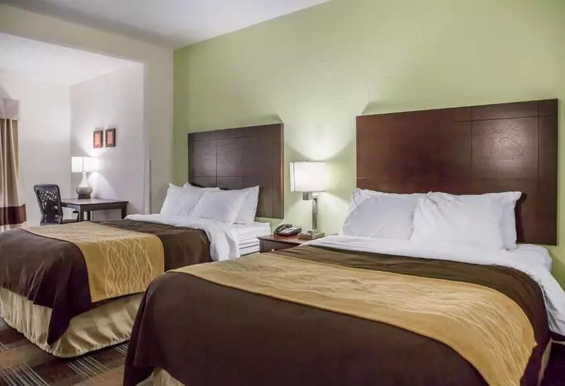 ２ダブルベッドのスタンダードルーム, Comfort Inn Lexington South
