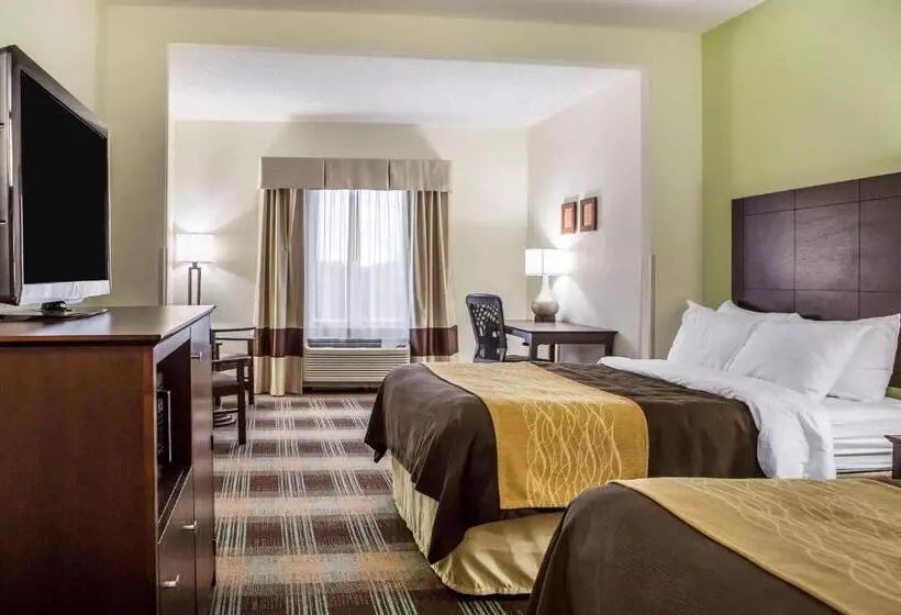 ２ダブルベッドのスタンダードルーム, Comfort Inn Lexington South