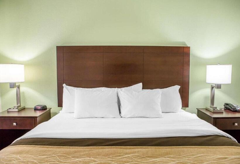 Стандартный Номер Кровать Кинг, Comfort Inn Lexington South