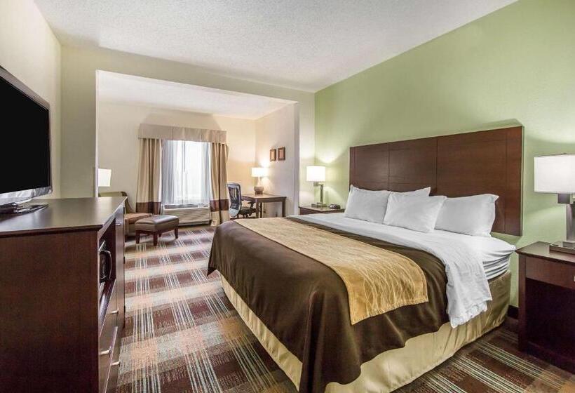 스탠다드 룸 킹사이즈 침대, Comfort Inn Lexington South