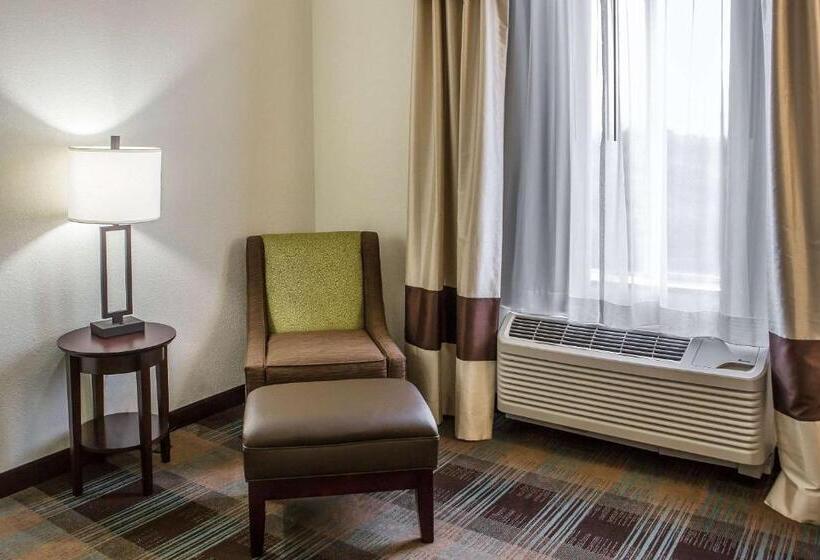 Стандартный Номер Кровать Кинг, Comfort Inn Lexington South