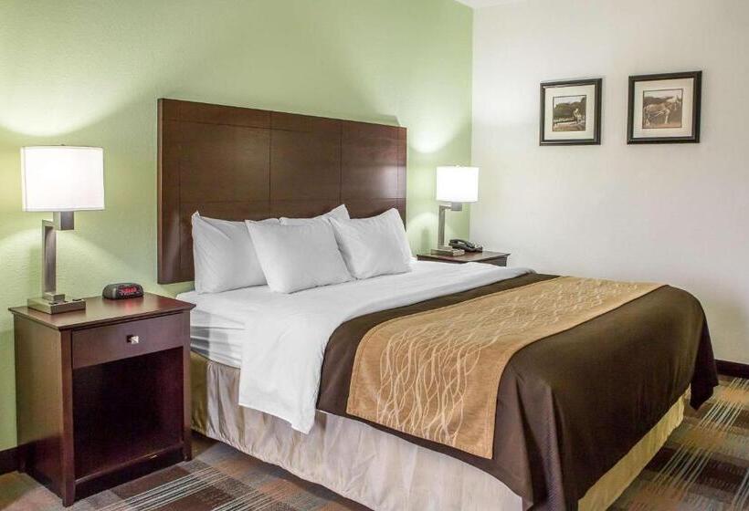 Стандартный Номер Кровать Кинг, Comfort Inn Lexington South