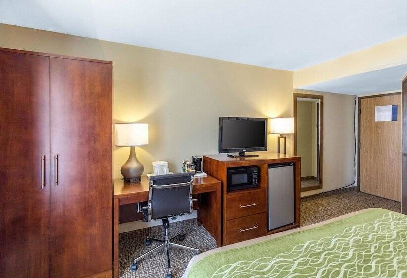 חדר סטנדרט עם מיטת קינג, Comfort Inn Wichita Falls North