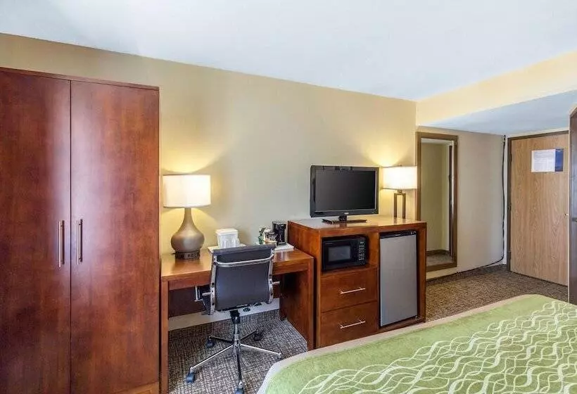 اتاق استاندارد با تخت بزرگ, Comfort Inn Wichita Falls North