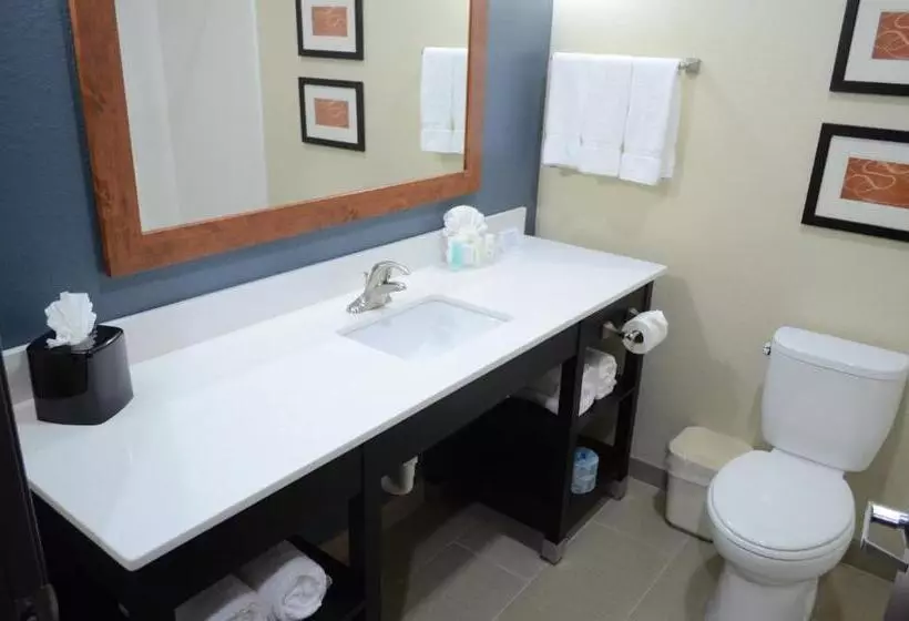 スイート, Comfort Suites Northwest  Cy  Fair