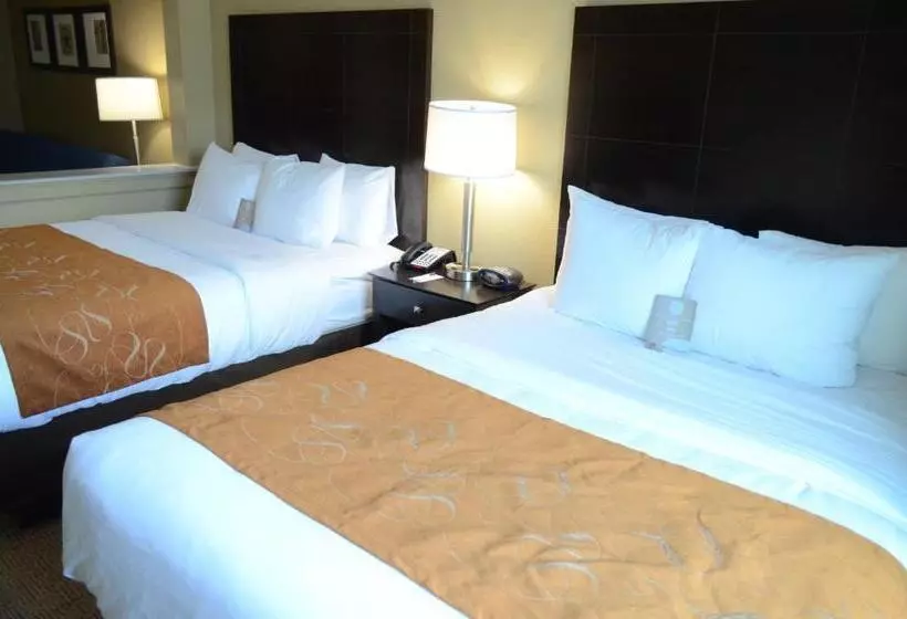 スイート, Comfort Suites Northwest  Cy  Fair