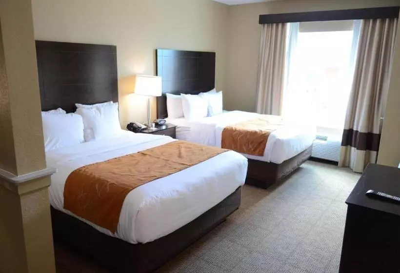 スイート, Comfort Suites Northwest  Cy  Fair
