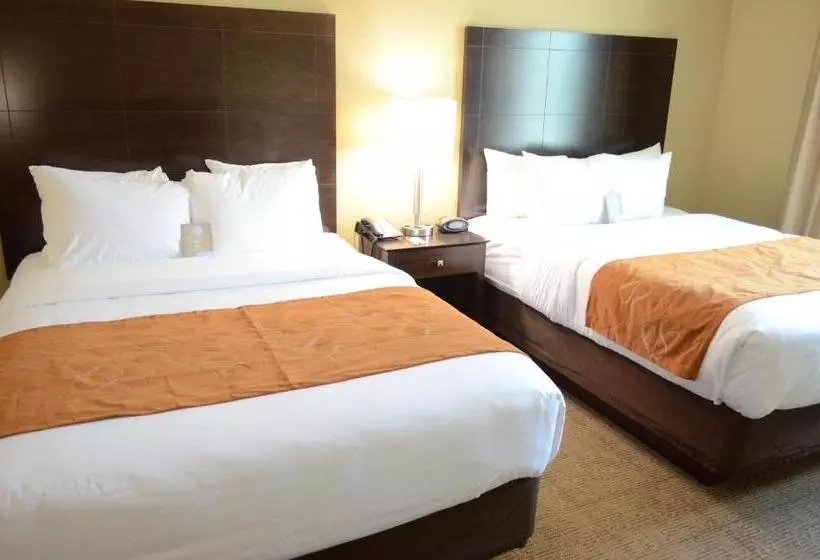 スイート, Comfort Suites Northwest  Cy  Fair