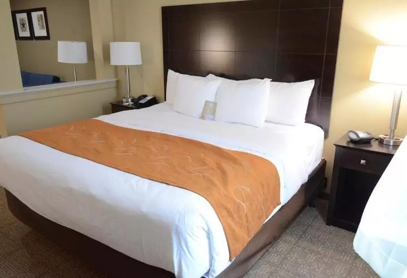 身障者適用スイートルーム, Comfort Suites Northwest  Cy  Fair