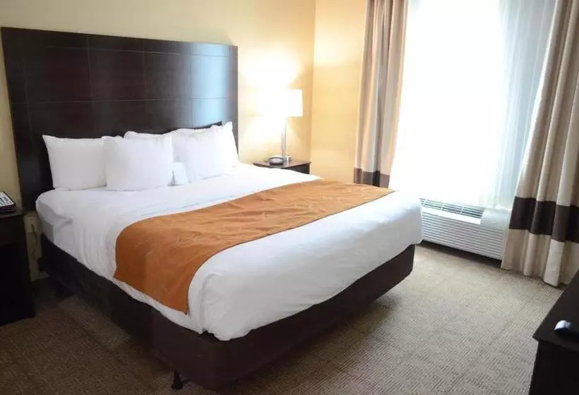 身障者適用スイートルーム, Comfort Suites Northwest  Cy  Fair