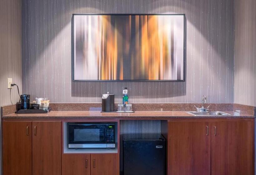 스탠다드 룸 킹사이즈 침대, Courtyard San Diego Central