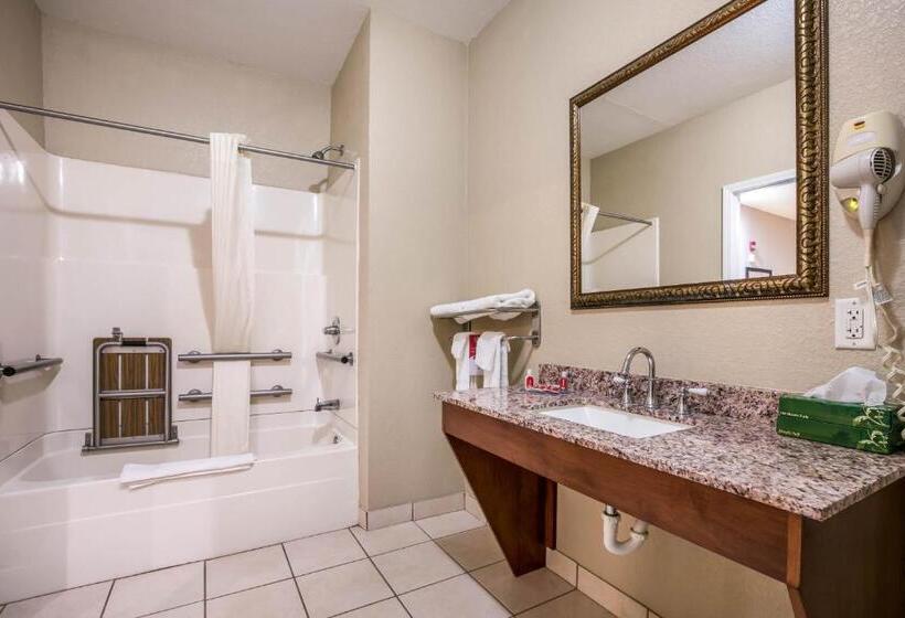 غرفة قياسية سرير كينج لذوى الإحتياجات الخاصة, Econo Lodge Inn & Suites