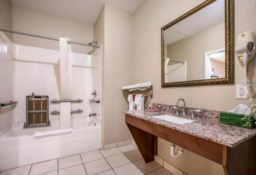 اتاق استاندارد با تخت بزرگ برای معلولان, Econo Lodge Inn & Suites