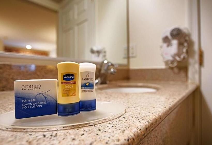 デラックスルーム, Garden State Inn