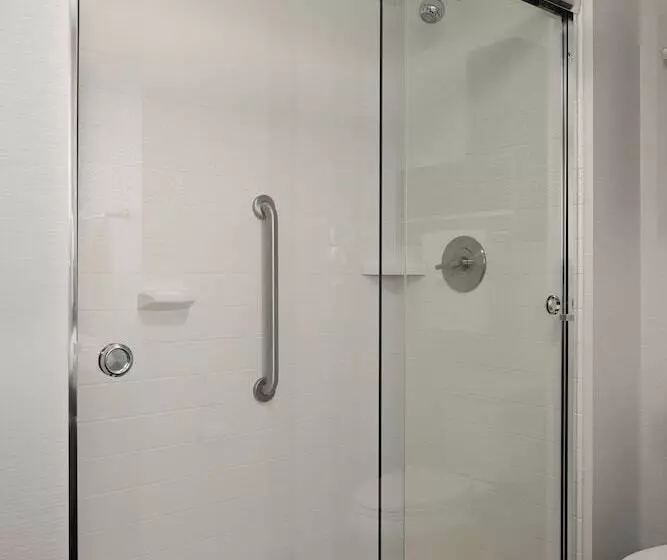 Standard-huone Parivuode, Hampton Inn Brooklyn/downtown